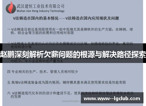 赵鹏深刻解析欠薪问题的根源与解决路径探索 赵鹏深刻解析欠薪问题的根源与解决路径探索