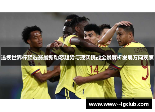 透视世界杯预选赛最新动态趋势与现实挑战全景解析发展方向观察 透视世界杯预选赛最新动态趋势与现实挑战全景解析发展方向观察