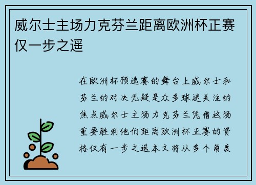 威尔士主场力克芬兰距离欧洲杯正赛仅一步之遥